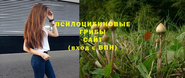 PSILOCYBIN Алексин