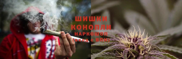 PSILOCYBIN Алексин