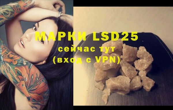 PSILOCYBIN Алексеевка