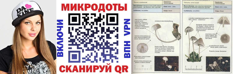 Галлюциногенные грибы Psilocybine cubensis Белорецк