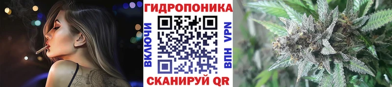 Каннабис семена Белорецк